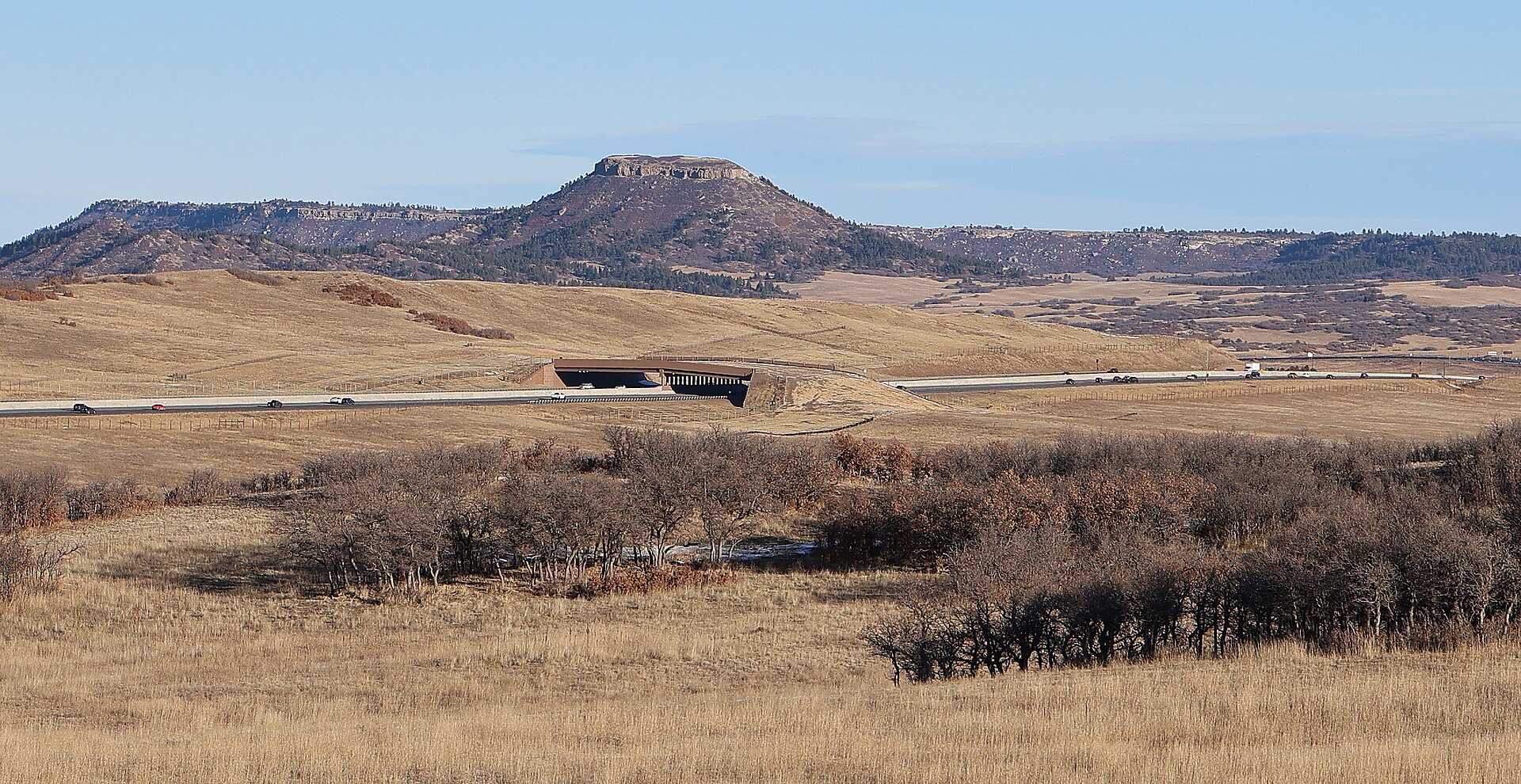 A Bridge to Safety: Colorado Wildlife Crossings Reduce Collisions by 91%